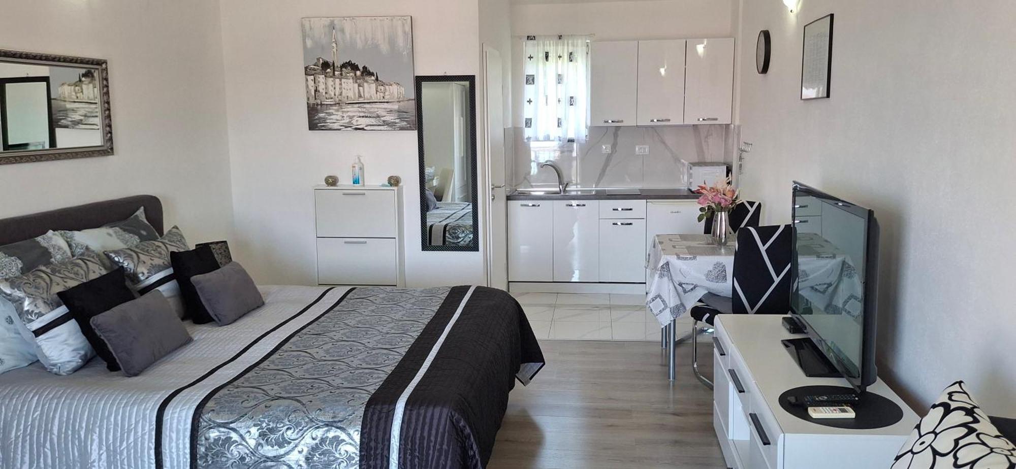 Beautyful Sea View 6 Luxury Studio Danijela 塞尼 外观 照片